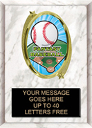 Oval Insert Plaque