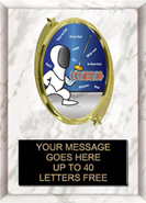 Oval Insert Plaque