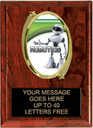 Oval Insert Plaque