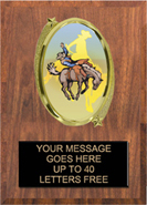 Oval Insert Plaque