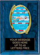 Oval Insert Plaque