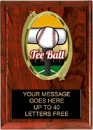Oval Insert Plaque