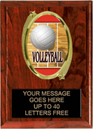 Oval Insert Plaque