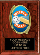 Oval Insert Plaque