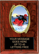 Oval Insert Plaque