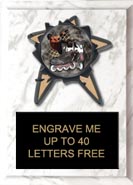 Resin Star Insert Plaque [6 x 8]