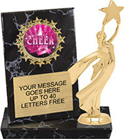 Round Insert Billboard Plaque