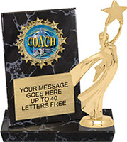 Round Insert Billboard Plaque