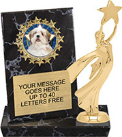 Round Insert Billboard Plaque