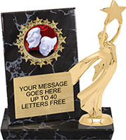 Round Insert Billboard Plaque