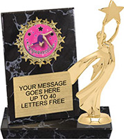 Round Insert Billboard Plaque