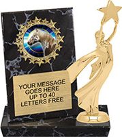 Round Insert Billboard Plaque