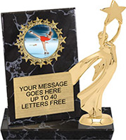 Round Insert Billboard Plaque