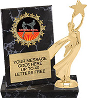 Round Insert Billboard Plaque