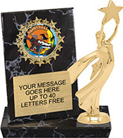 Round Insert Billboard Plaque