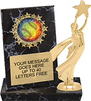 Round Insert Billboard Plaque