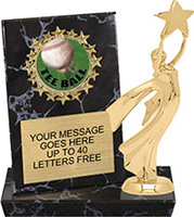 Round Insert Billboard Plaque