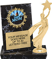 Round Insert Billboard Plaque
