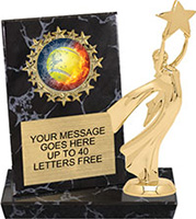 Round Insert Billboard Plaque