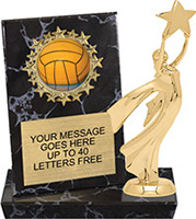Round Insert Billboard Plaque