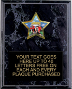 Star Insert Plaque [7 x 9 inch]