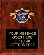 Triple Star Insert Plaque  [8 x 10 inch]