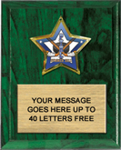 Custom Star Insert Plaque [5 x 7 inch]