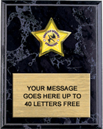 Custom Star Insert Plaque [7 x 9 inch]