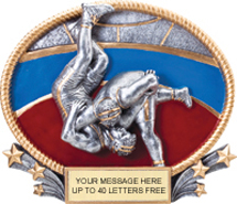Wrestling 3D Full Color Oval Resin Trophy [8.25 x 7 inch]