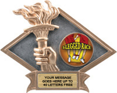 Victory Dimensional Diamond Resin Insert Trophy [6 x 8.5 inch] large