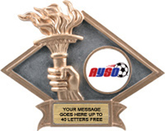 Victory Dimensional Diamond Resin Insert Trophy