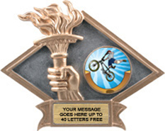 Victory Dimensional Diamond Resin Insert Trophy