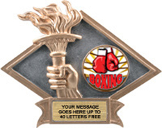 Victory Dimensional Diamond Resin Insert Trophy [6 x 8.5 inch] large