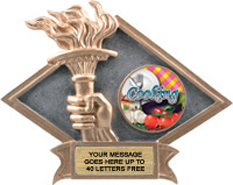 Victory Dimensional Diamond Resin Insert Trophy