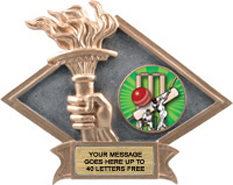 Victory Dimensional Diamond Resin Insert Trophy