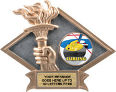 Victory Dimensional Diamond Resin Insert Trophy