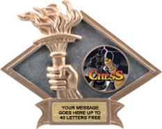 Victory Dimensional Diamond Resin Insert Trophy [6 x 8.5 inch] large