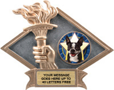 Victory Dimensional Diamond Resin Insert Trophy
