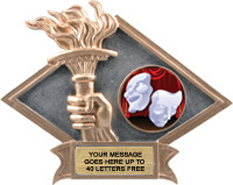 Victory Dimensional Diamond Resin Insert Trophy