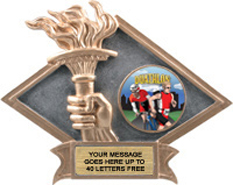 Victory Dimensional Diamond Resin Insert Trophy