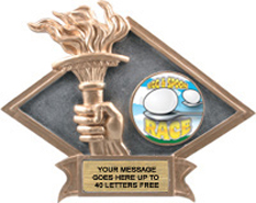 Victory Dimensional Diamond Resin Insert Trophy