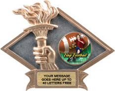 Victory Dimensional Diamond Resin Insert Trophy