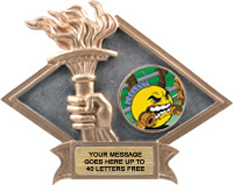 Victory Dimensional Diamond Resin Insert Trophy