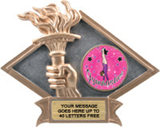 Victory Dimensional Diamond Resin Insert Trophy [6 x 8.5 inch] large