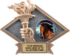 Victory Dimensional Diamond Resin Insert Trophy [6 x 8.5 inch] large