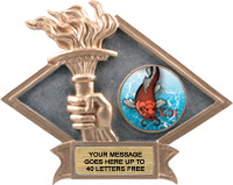Victory Dimensional Diamond Resin Insert Trophy