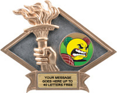 Victory Dimensional Diamond Resin Insert Trophy
