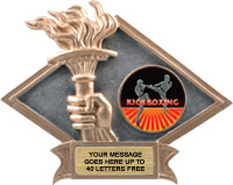 Victory Dimensional Diamond Resin Insert Trophy [6 x 8.5 inch] large