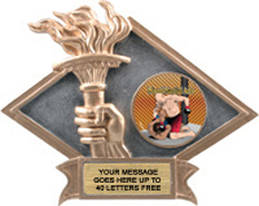 Victory Dimensional Diamond Resin Insert Trophy