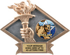 Victory Dimensional Diamond Resin Insert Trophy [6 x 8.5 inch] large